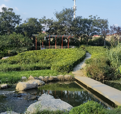 中韓街道牟家社區(qū)東山路化工程